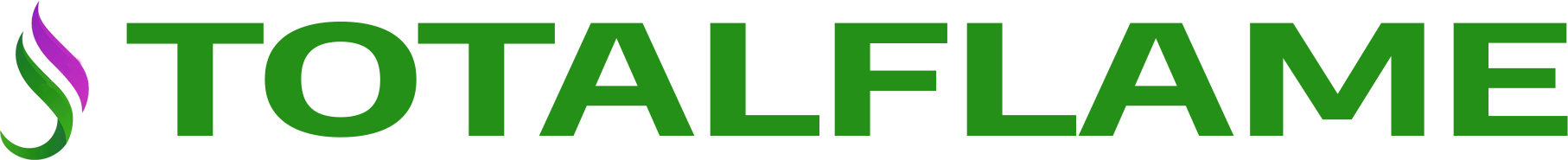 website logo